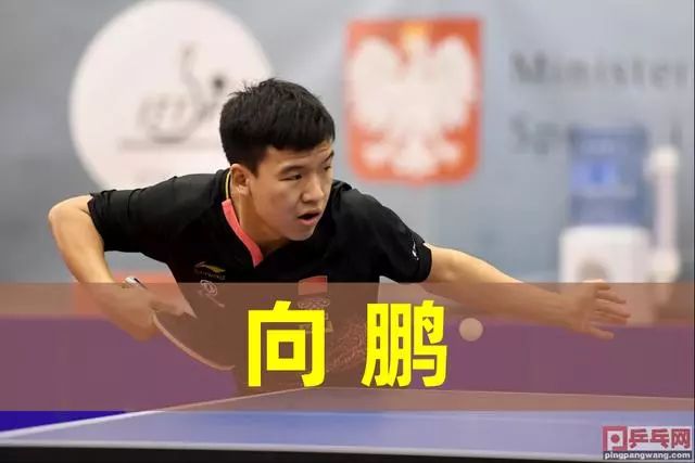 王楚钦的表 王楚钦的表